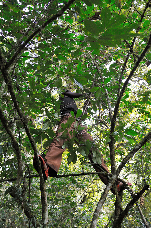 DSC5465_web.jpg