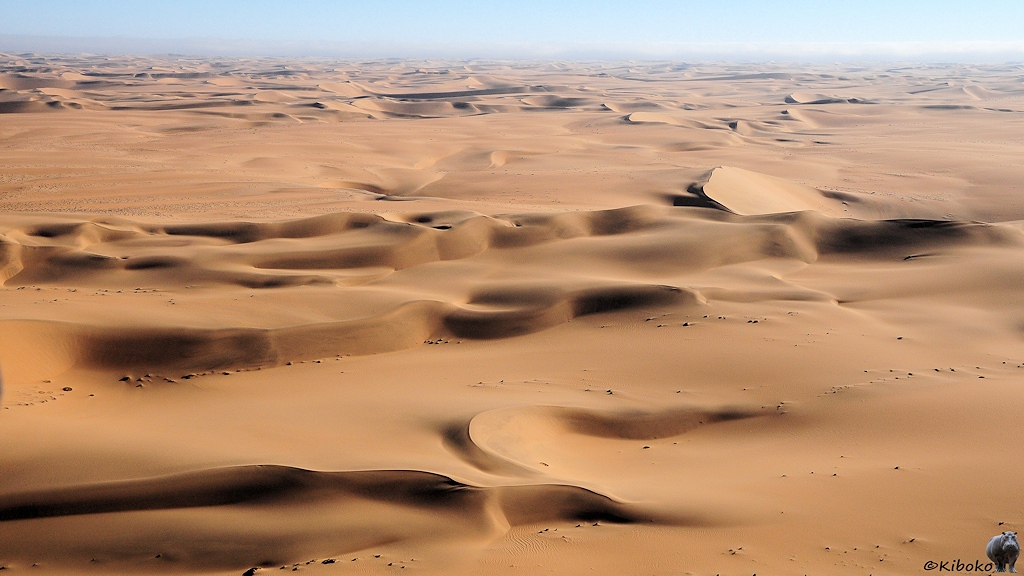 Nochmal Dünen bis zum Horizont.