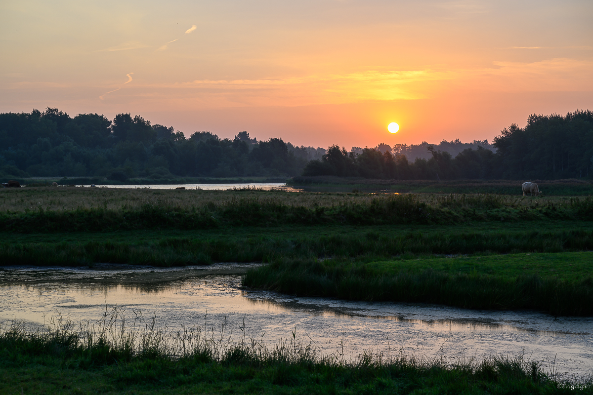 DSC_3203.jpg