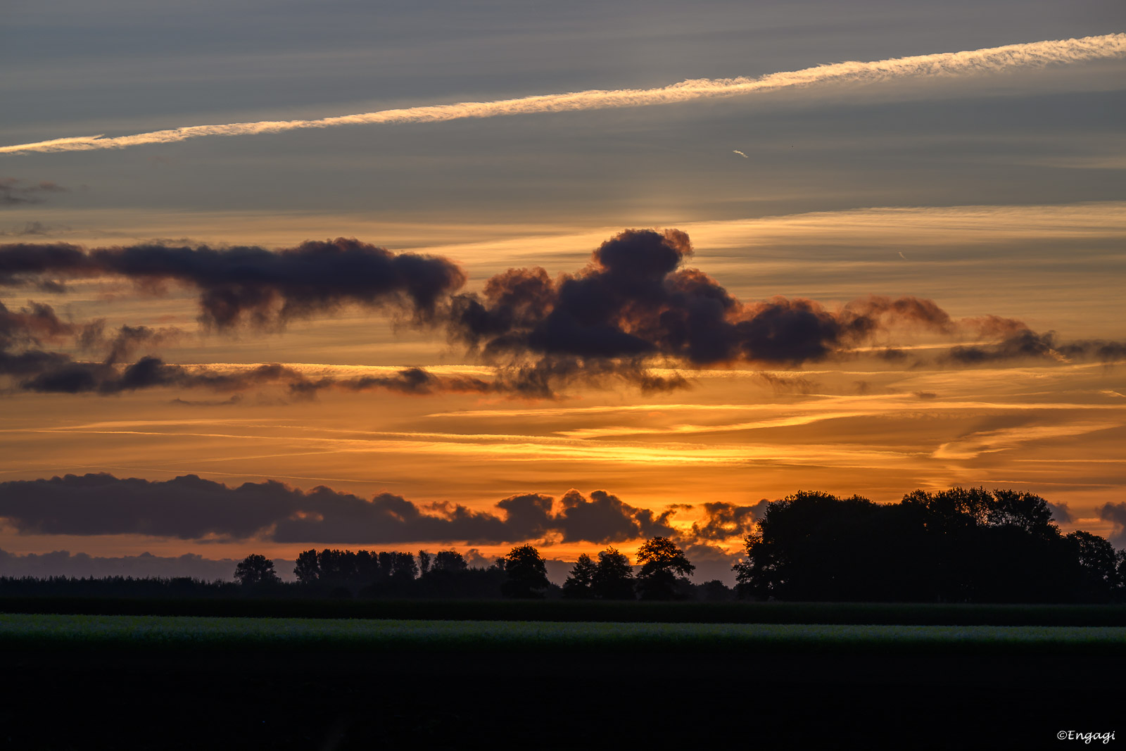 DSC_0553.jpg