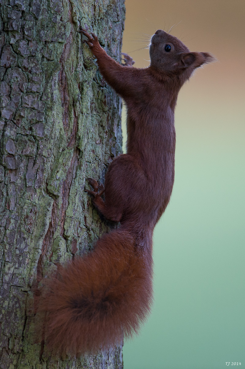 DSC_9023.jpg