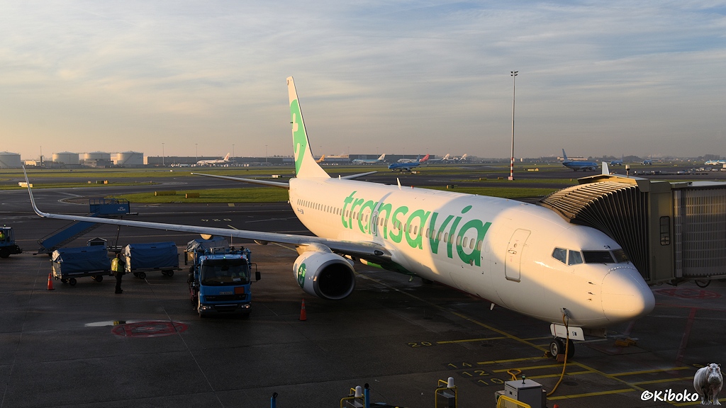 Das Bild ein weißes, zweistrahliges Flugzeug mit der Aufschrift Transavia in großen grünen Buchstaben auf der Seite. Das Flugzeug steht am Gate und wird von einem blauen LKW betankt.