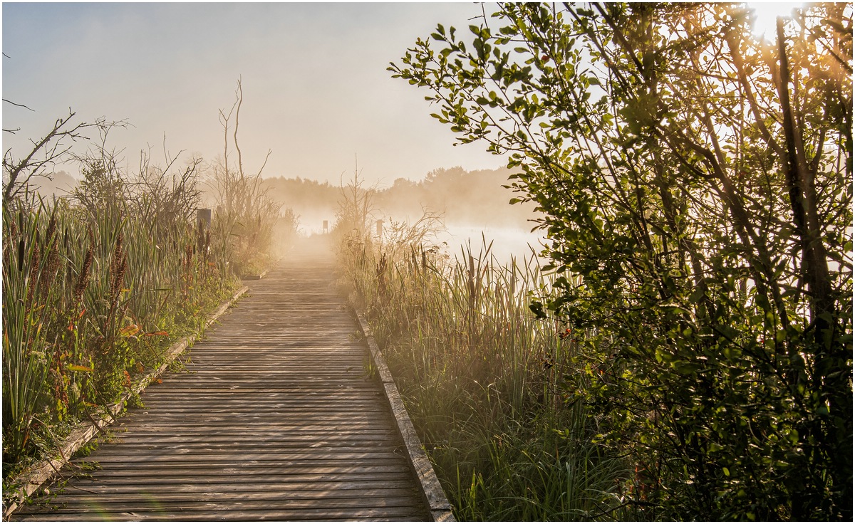 full