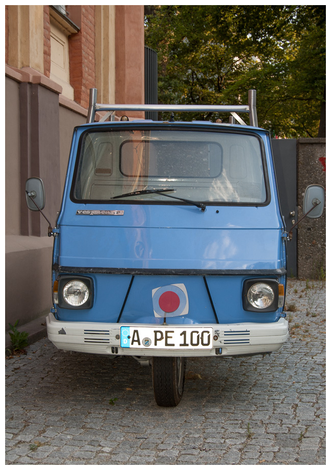 blaueraffe002.jpg