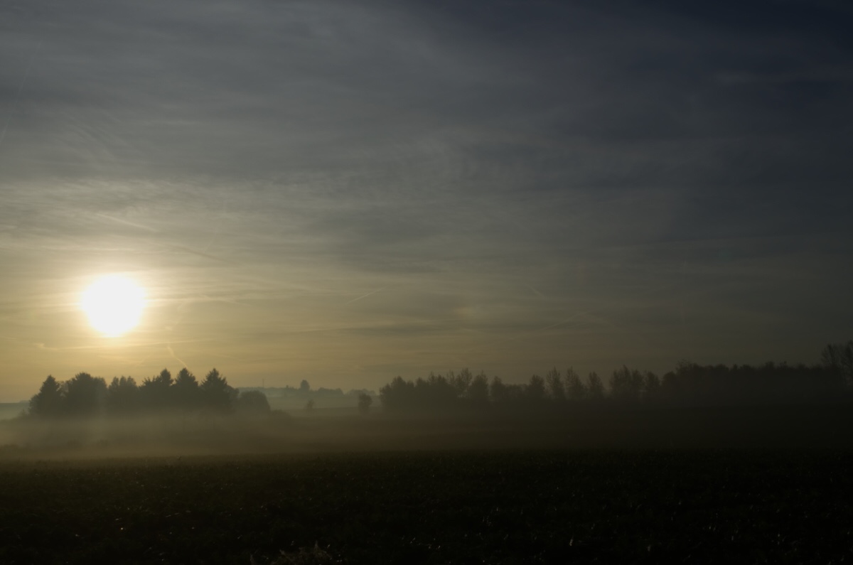 7430012d58f648f1e2ec34257dcc9c8d.jpg