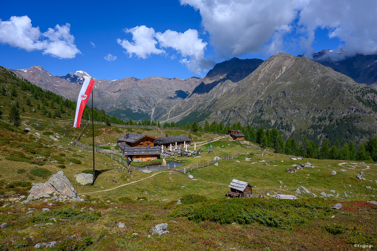 DSC_3408.jpg