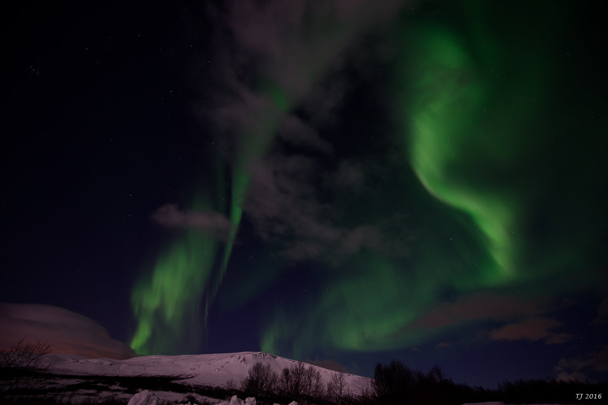 DSC_2594.jpg