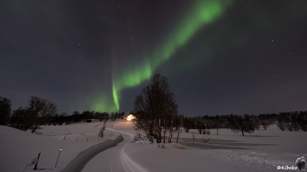Das Bild zeigt den geräumten Weg zum beleuchteten Haus. Genau darüber ist ein geschwungener sehr heller Polarlichtstreifen am Himmel. Er wirkt wie ein wehender Vorhang. Oben leuchtet der Vorhang schwach violett.