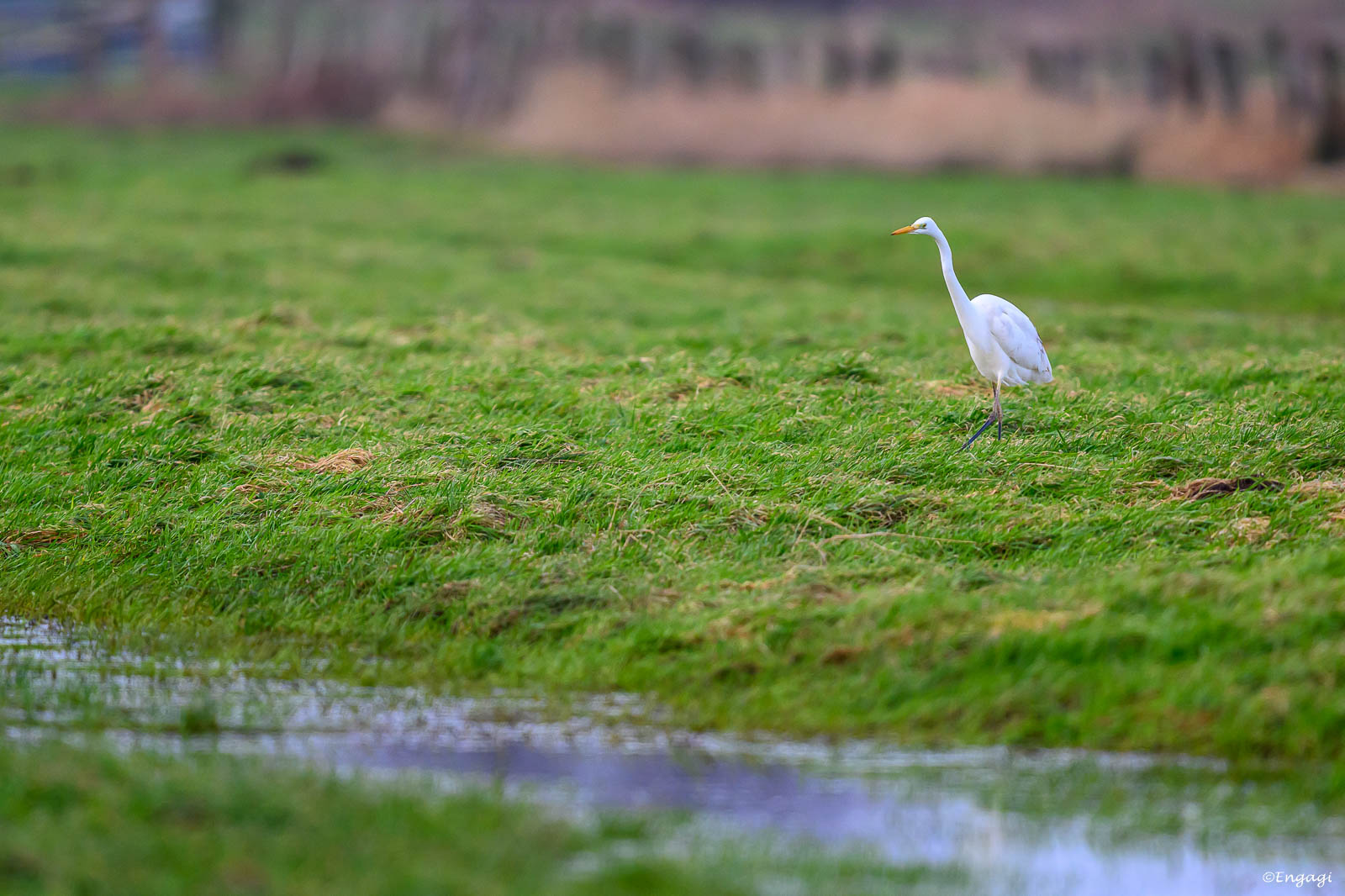 DSC_5223.jpg