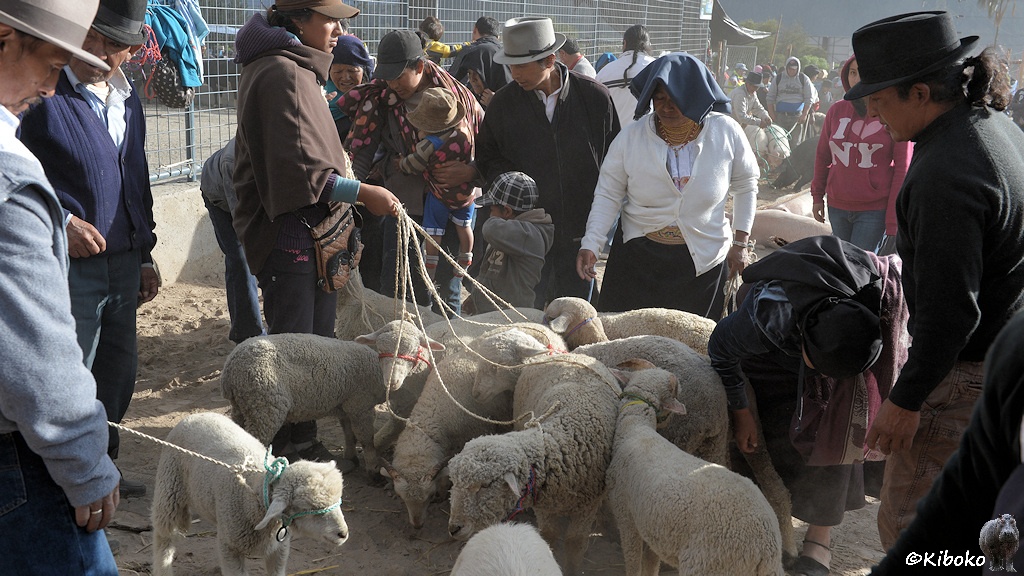 Das Bild zeigt einen braun gekleideten Mann der 10 Schafe an 10 Leinen festhält. Mehrere Menschen stehen drumherum. Einer bückt sich und schaut sich ein Schaf genauer an. Am linken Bildrand ist ein Mann mit einem Lamm an der Leine.