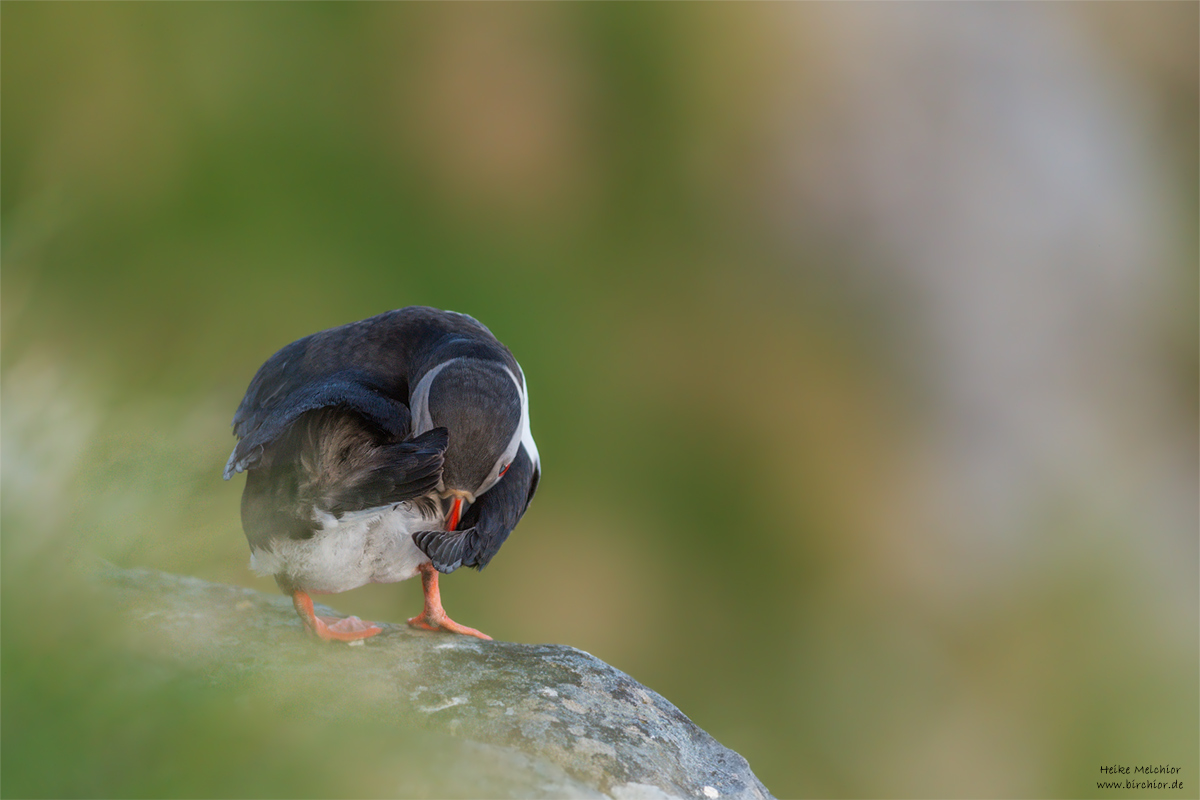 20140514_0889_PS_1200Px.jpg