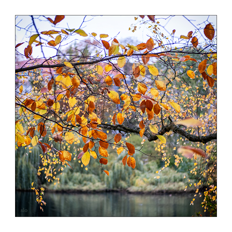 full