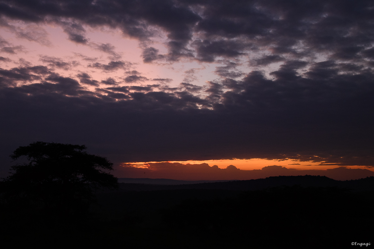 Uganda%202524.jpg