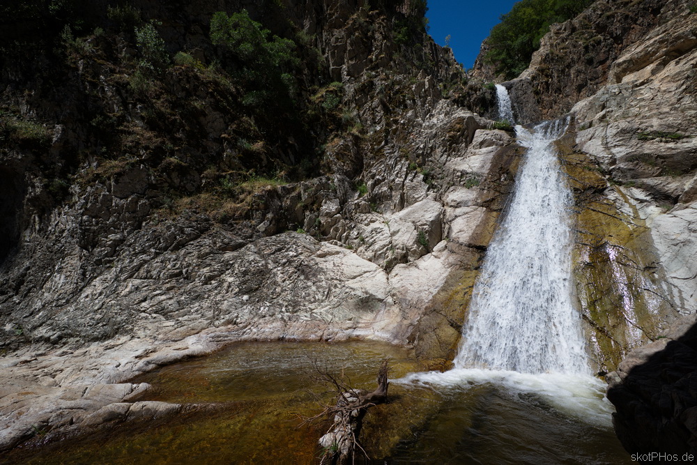 skotPHos.de_Sardinien2015_022.JPG