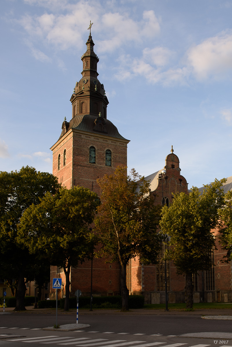 DSC_7644.jpg
