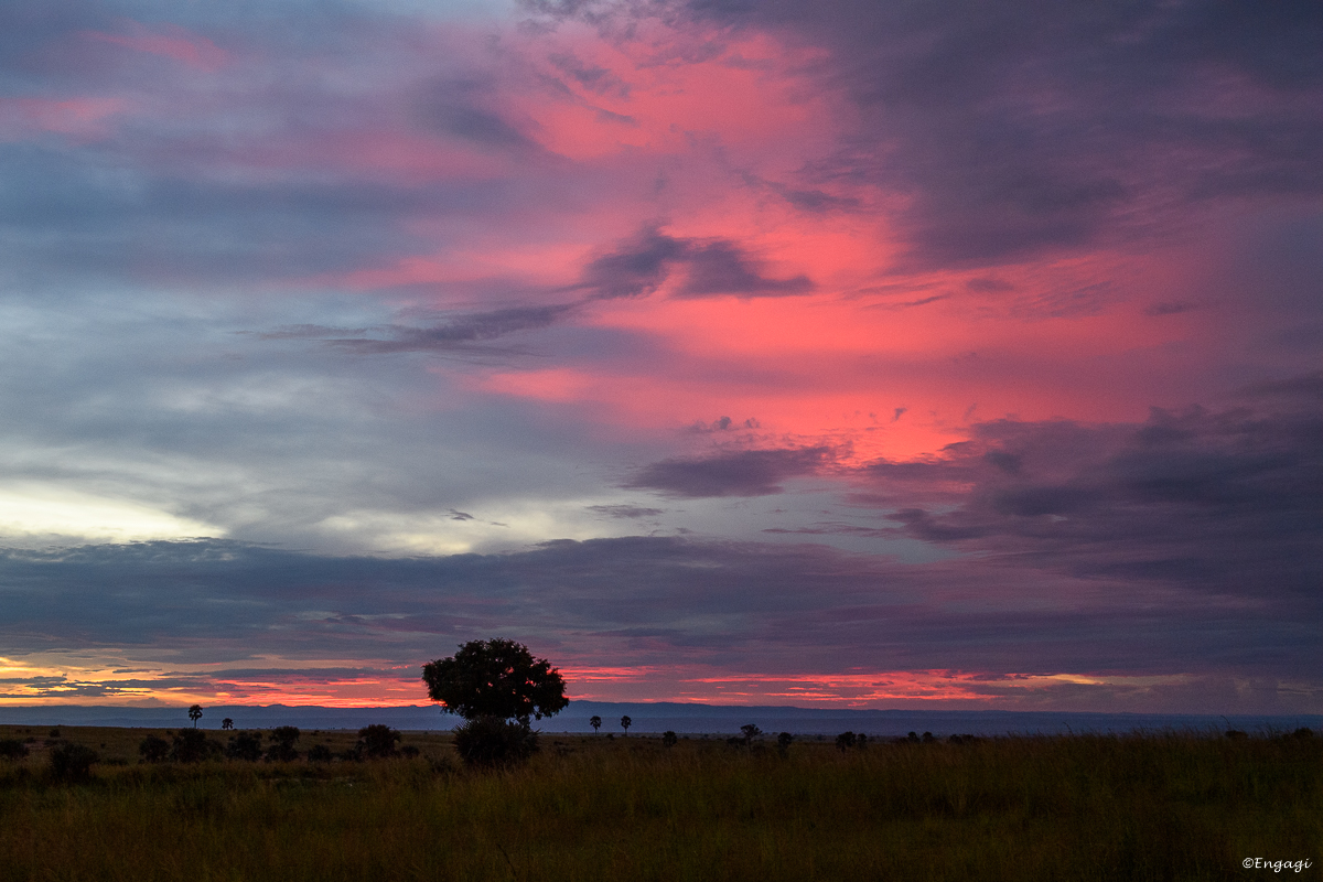 Uganda%200462.jpg
