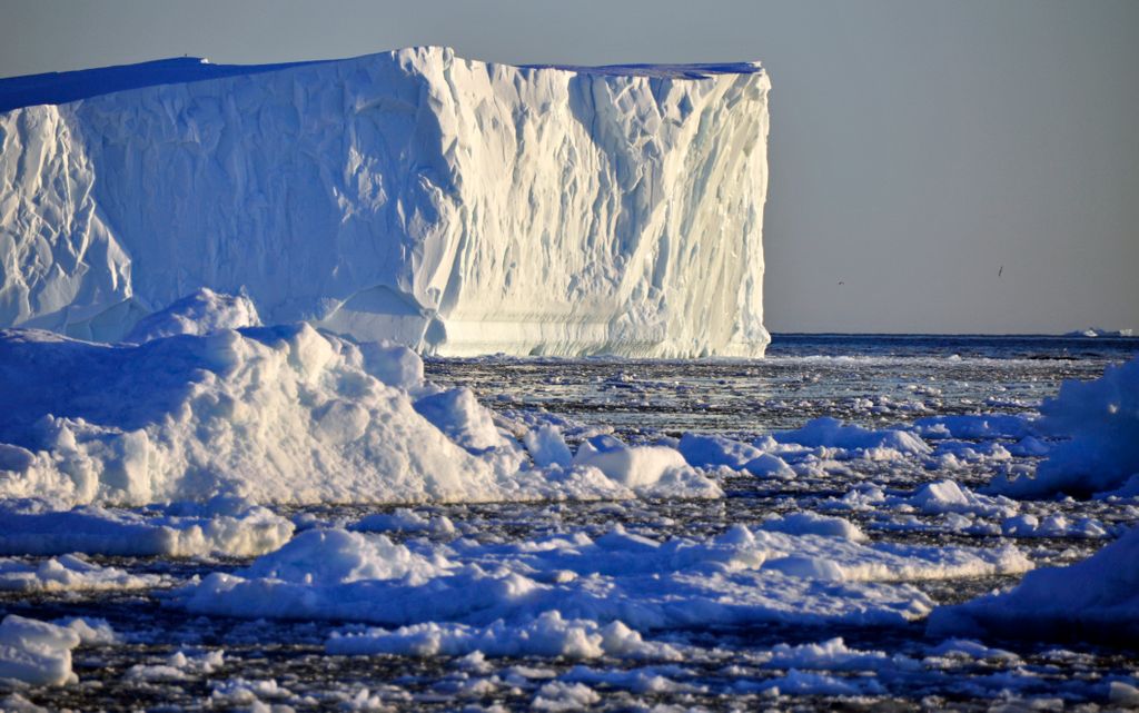 _dsc3875.jpg