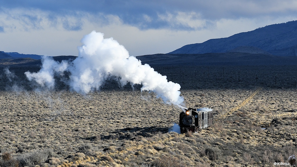 Dampfzug in den Weiten Patagoniens