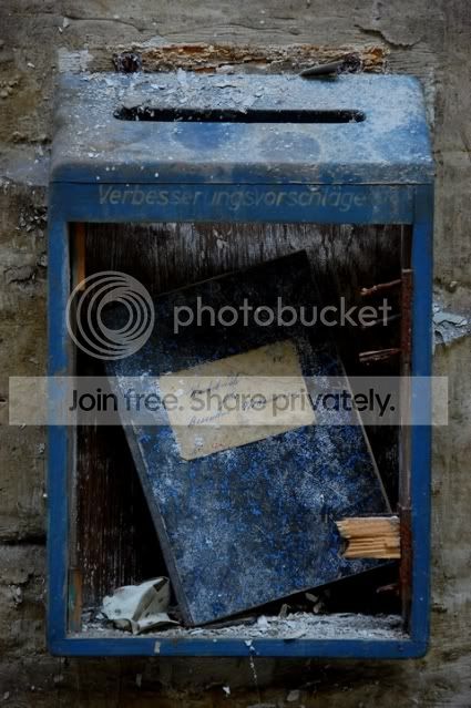 DSC_7384.jpg