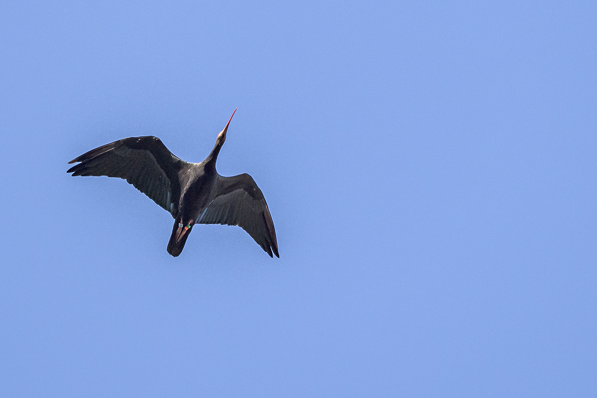 20201009_ND5_1046NF.jpg