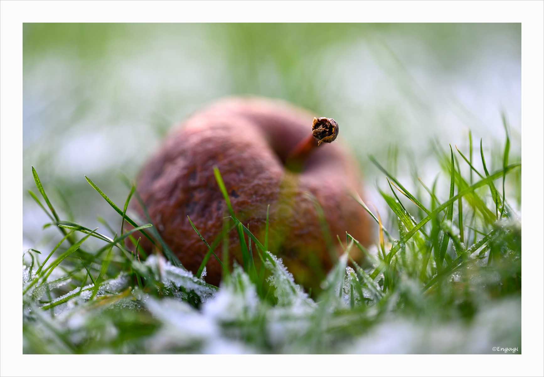 DSC_9590.jpg