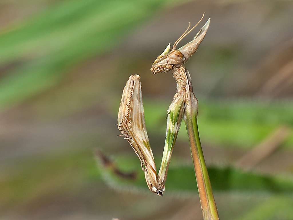 DSC_7808.jpg