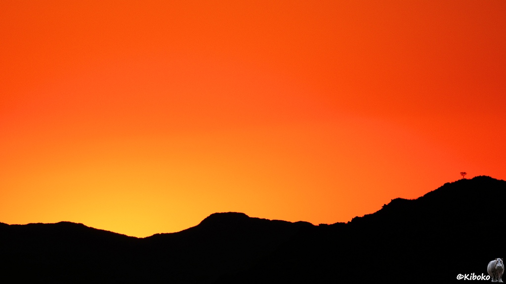 Die Sonne ist gerade hinter den schwarzen Hügeln untergegangen. Der Himmel leuchtet noch gelb bis rot.