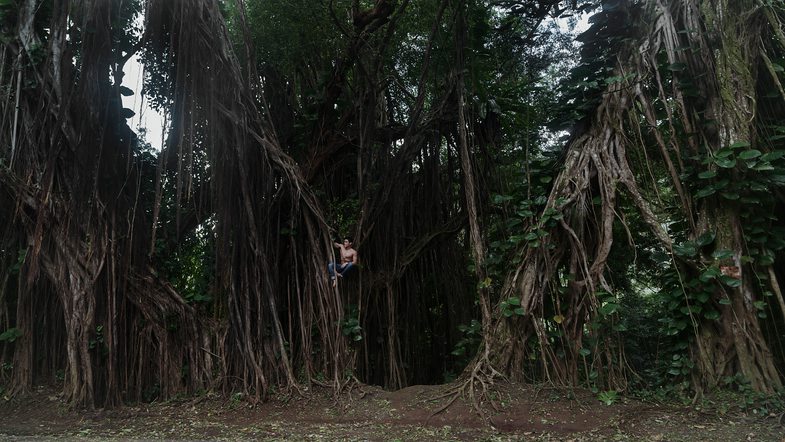 k_Alphaddicted_Hawaii_von-Sony_6.jpg