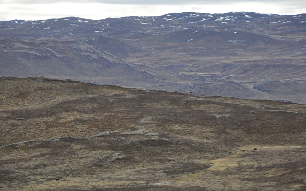 _dsc4070.jpg