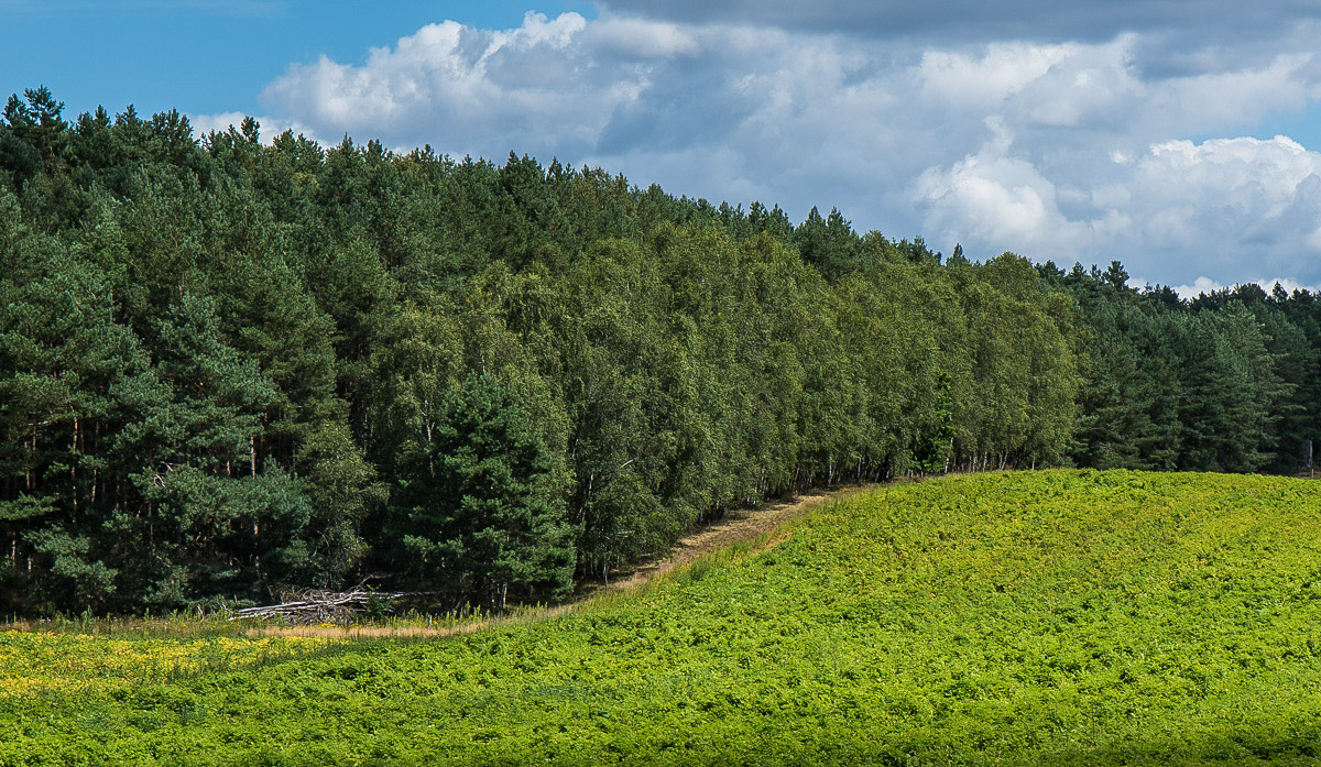full