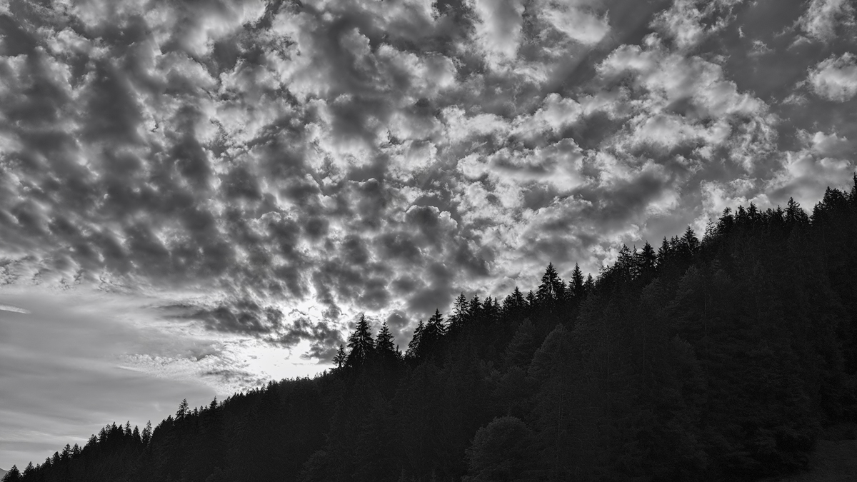 DSCF7646sw-web.jpg