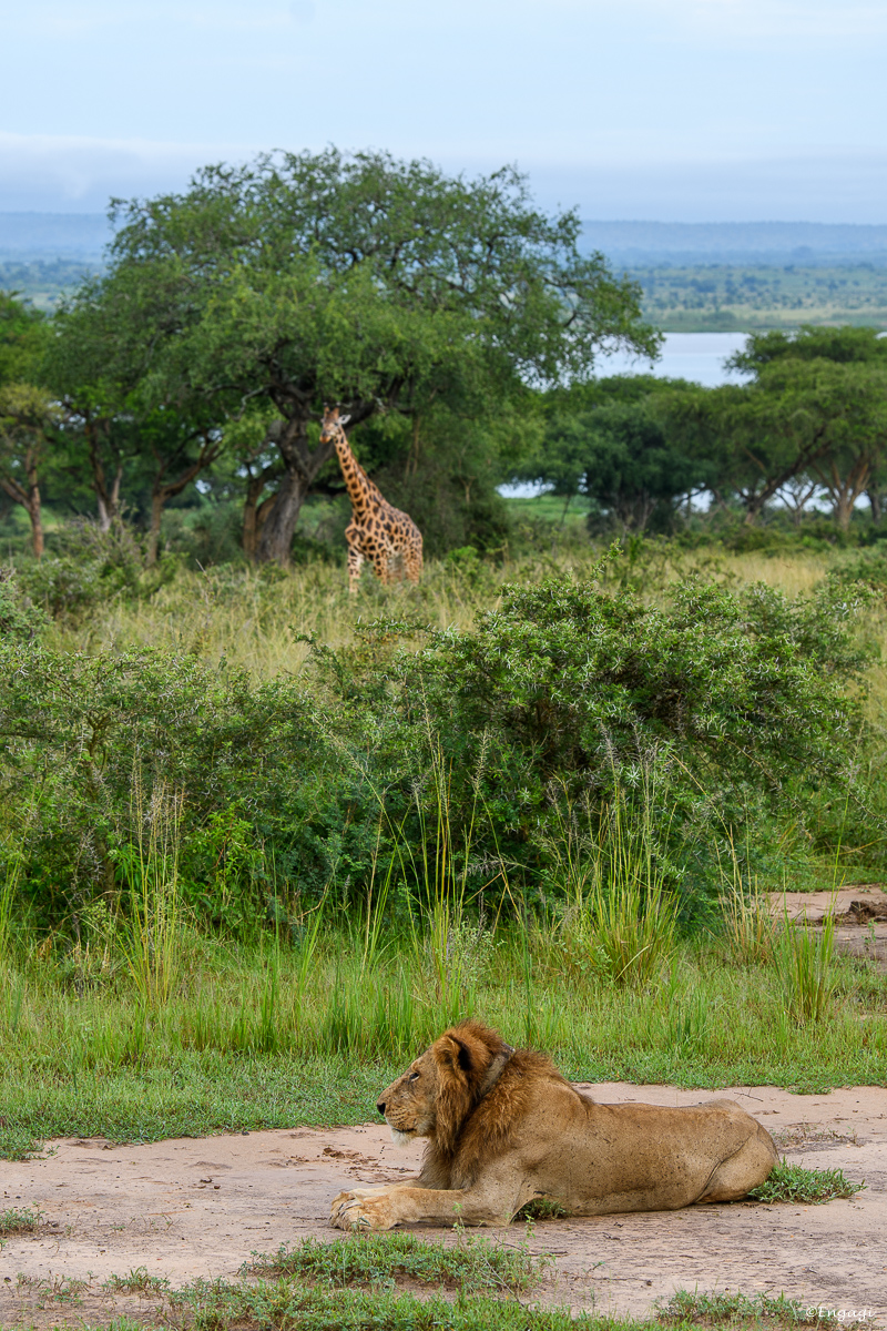 Uganda%200518.jpg