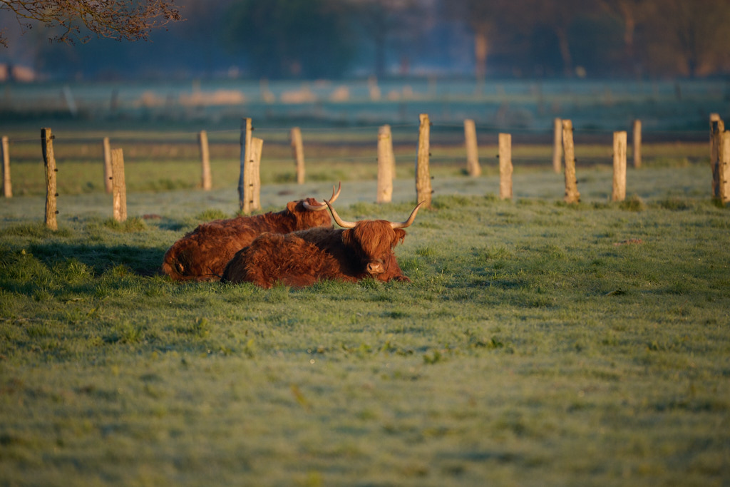 DSC_6429%203-XL.jpg