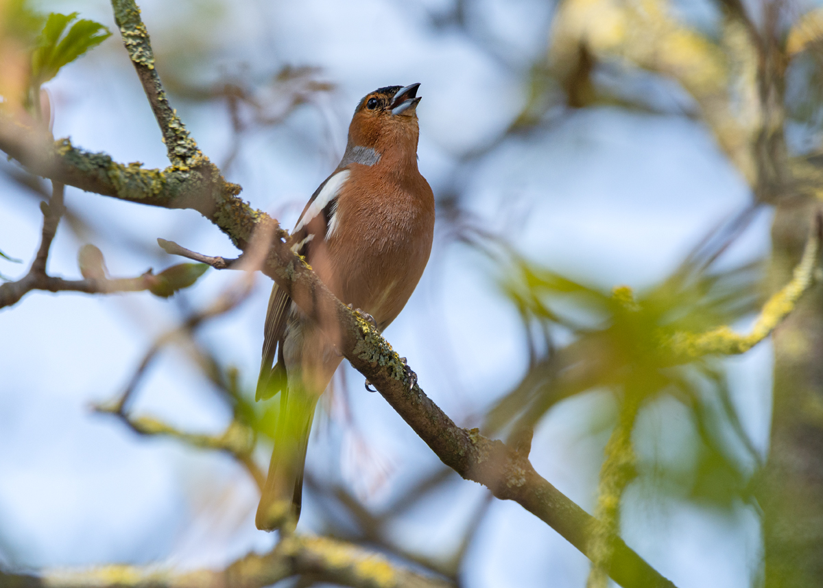 full