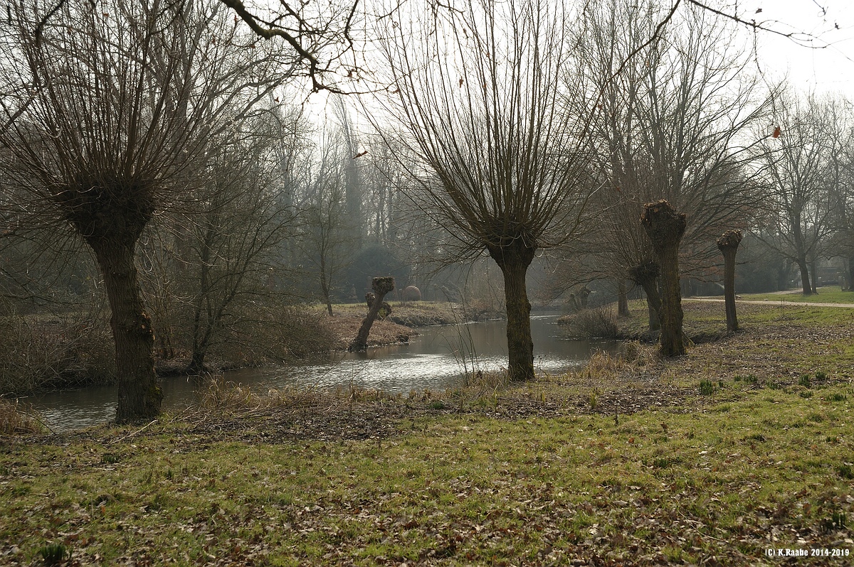 cK.R.-850DSC_5201.jpg