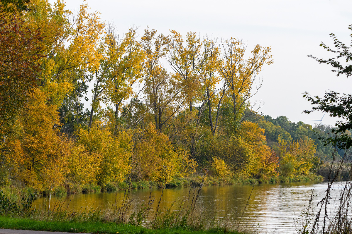 full