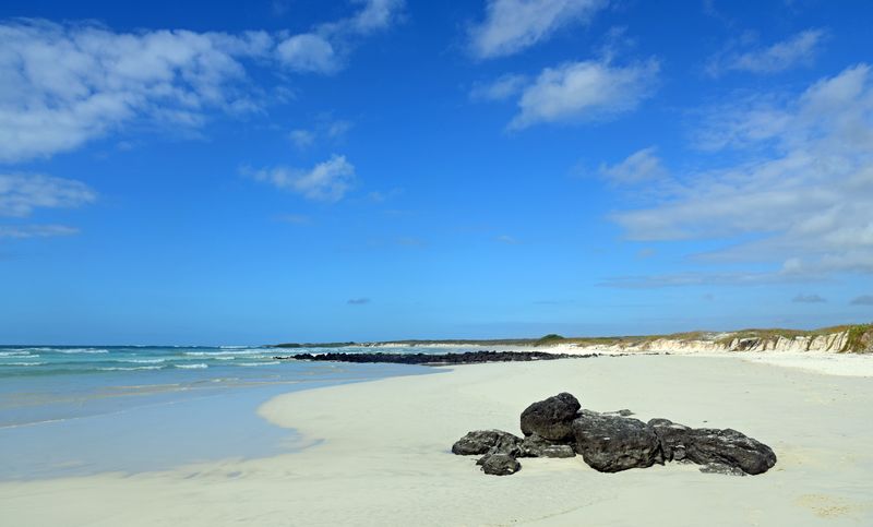 d75_8291.jpg