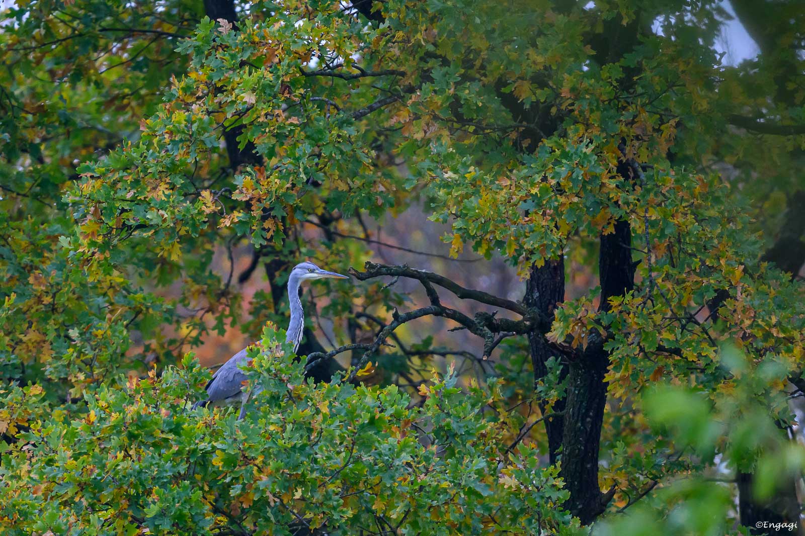 DSC_2857.jpg