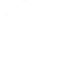 swan-magazine.com