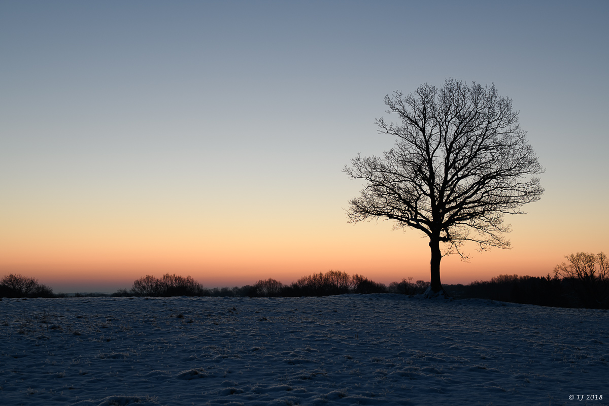 DSC_0458.jpg