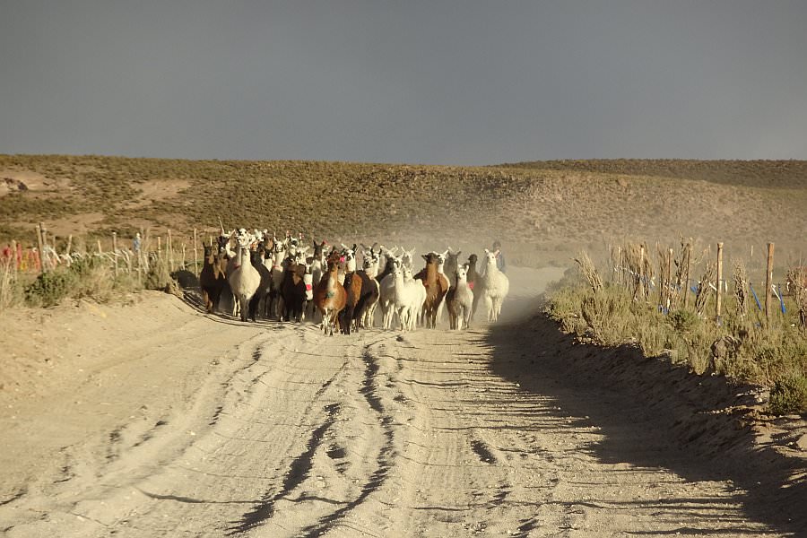 atacama16_083.jpg