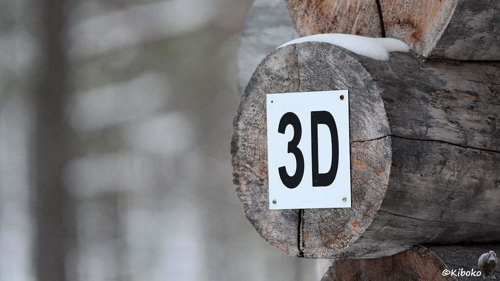 Das Bild zeigt das Ende eines Rundholzes an der Ecke eines Blockhauses. Daran ist ein weißes viereckiges Schild mit der schwarzen Aufschrfit: 3D.