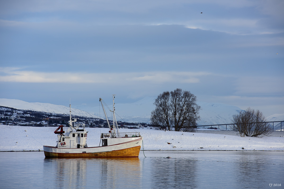 DSC_2461.jpg