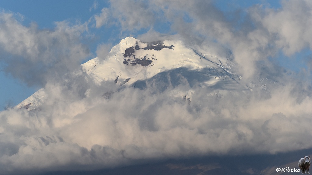 Das Bild zeigt die schneebedeckte Spitze eines Vulkans durch eine Wolkenlücke im Abendlicht. Unterhalb des Gipfels ist ein dichtes Wolkenband. Um den Gipfel sind lockere Wolkenfetzen.