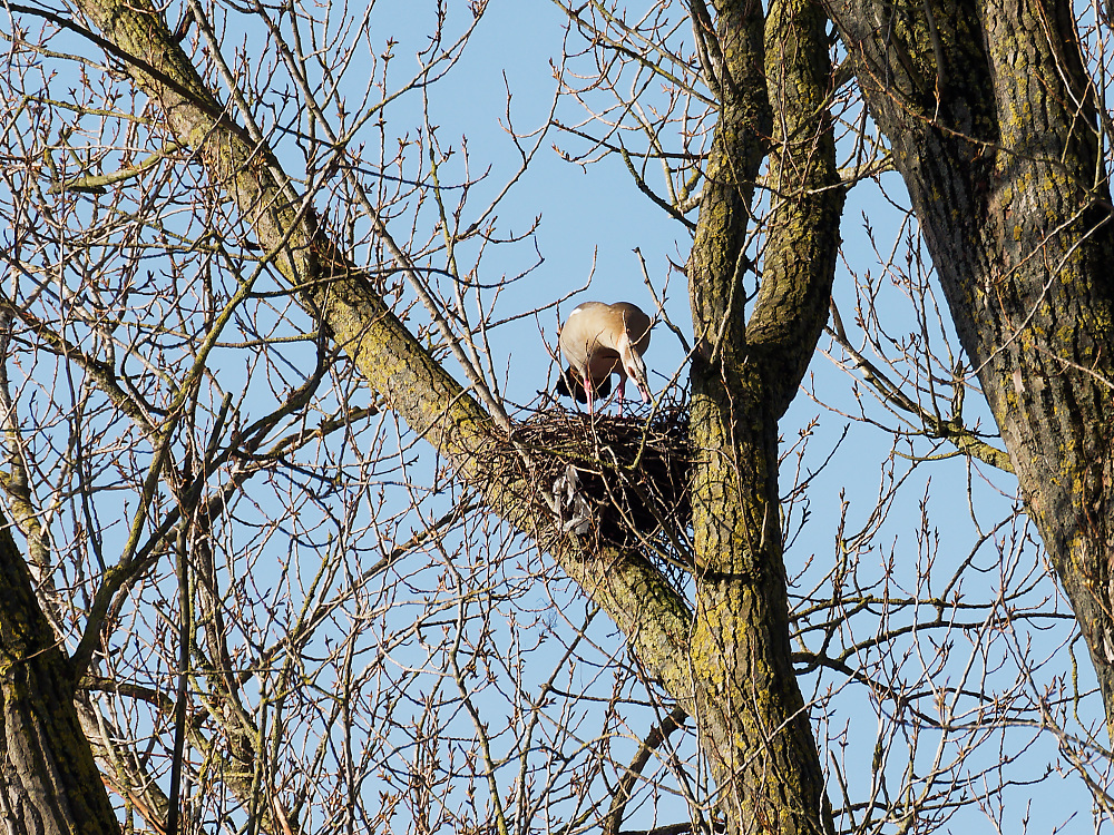 full