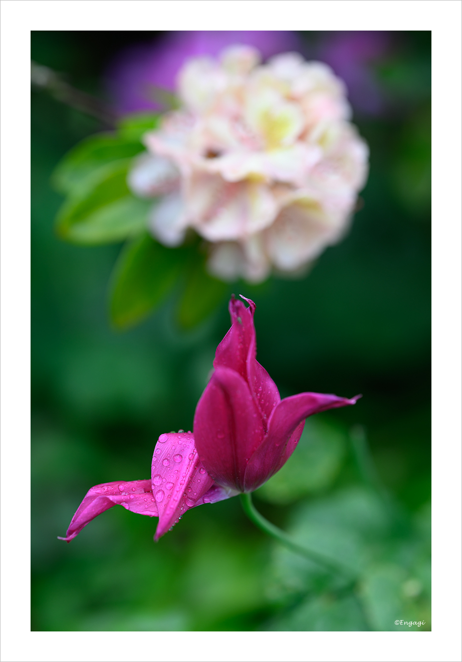 DSC_4791.jpg