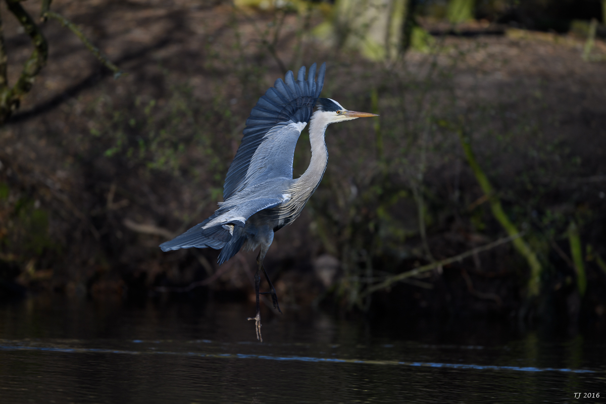 DSC_0598.jpg