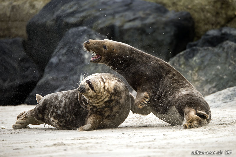 DSC_0853.jpg