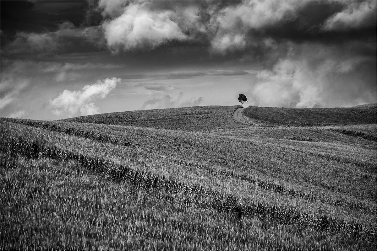 20180517_D850_2977swNF.jpg