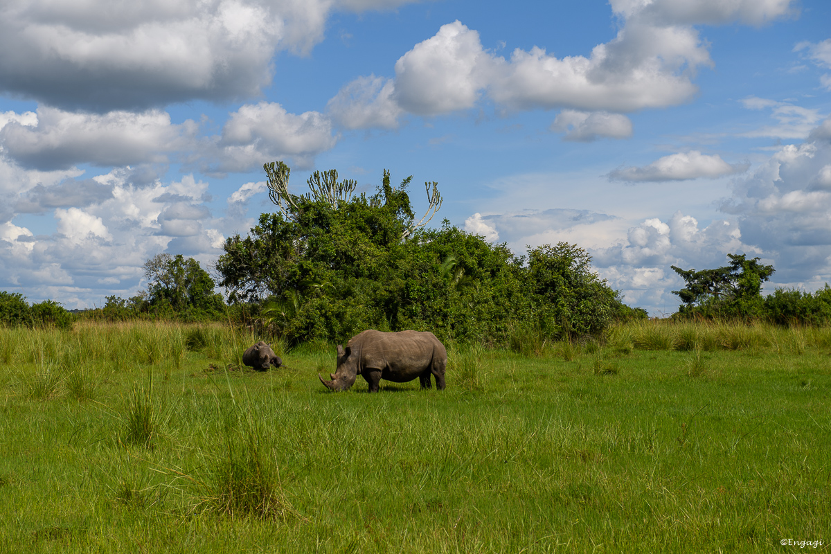 Uganda%200094.jpg